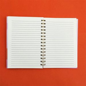 Popitli Defter, Popitli Defter, Pop-it Çizgili, Deniz Kızı Desen