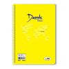 60 Yaprak Çizgili A4 Plastik Kapak Spiralli Defter