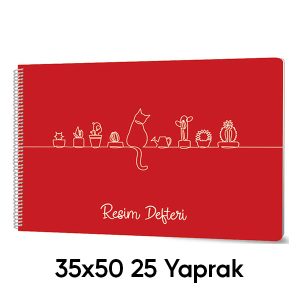 Resim Defteri 35x50 Spiralli 25 Yaprak - Plastik Kapak
