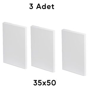 35x50 Tuval Arkadan Zımbalı 3 Adet